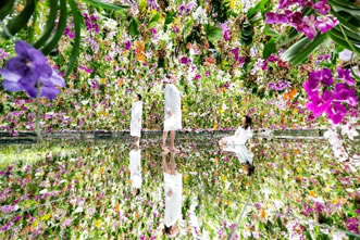 One © teamLab
